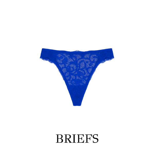 Briefs