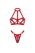 Amour Harness Set